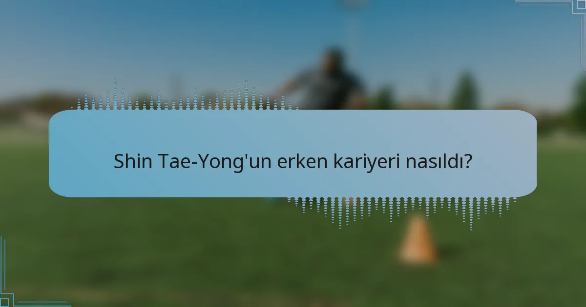 Shin Tae-Yong'un erken kariyeri nasıldı?